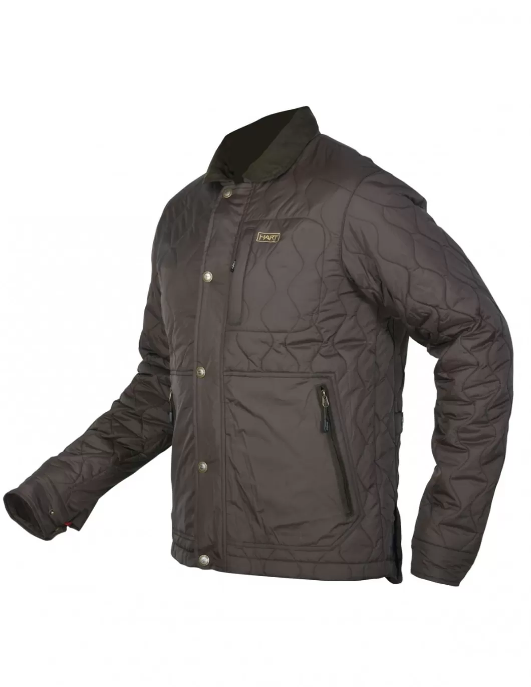 Homme HART HUNTING Vestes>Hart Massaias-J Veste